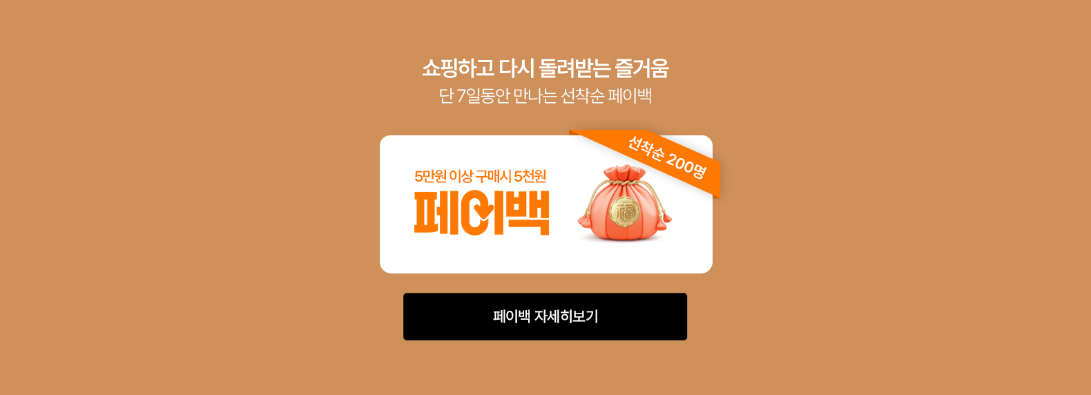 페이백