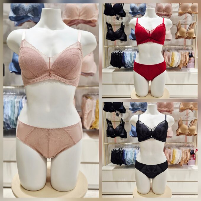 26FW 메인 A,B,C컵 자가드레이스  브라햄팬티세트 BR0850ABP0850P