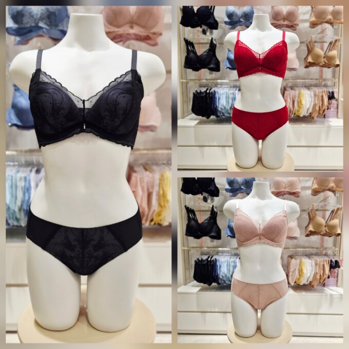 26FW 메인 D,E컵 자가드레이스  브라햄팬티세트 BR0850QBP0850P