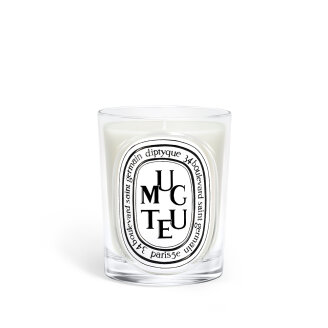 클래식 캔들 뮤게