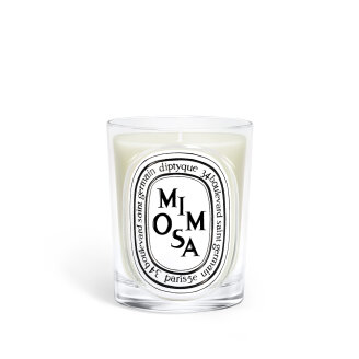 클래식 캔들 미모사