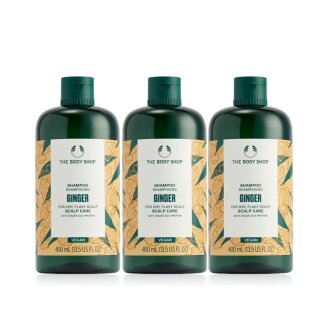 진저 스캘프 케어 샴푸 400ML 3종세트