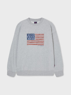 American Flag Sweatshirt(Brushed) WHMWF4T91U*