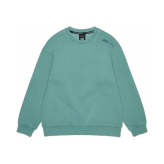 K261USW830 어드벤처 피그먼트 맨투맨 TEAL