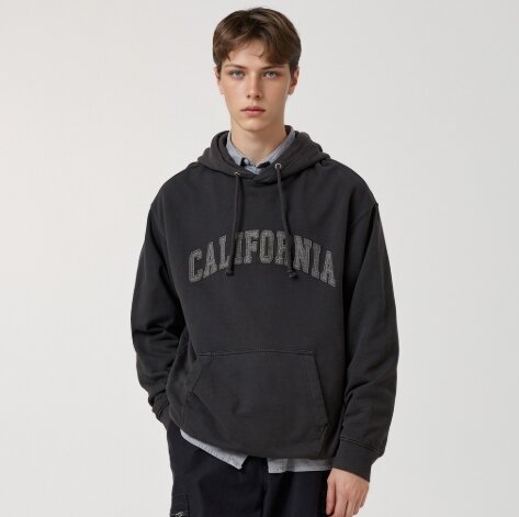 Garment Dyed Hoodie / WHMHF4931U